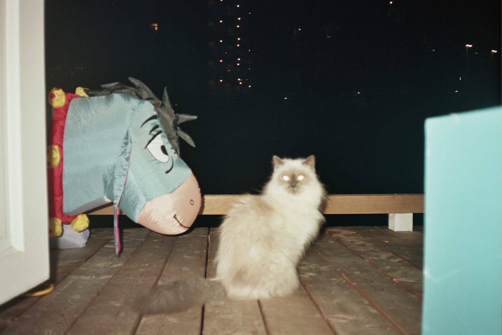 Cat with Eeyore pinata