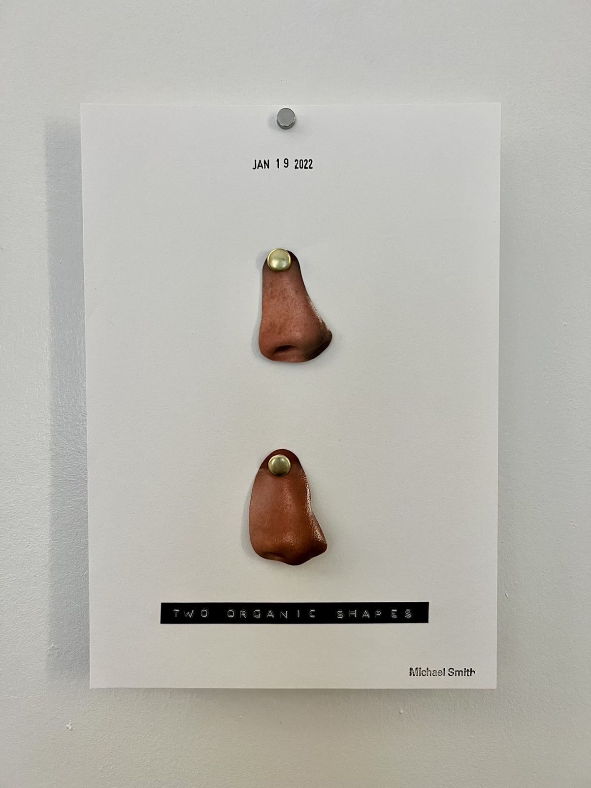 Two Organic Shapes