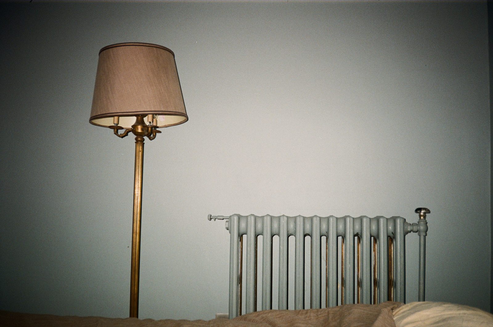 Lamp and radiator