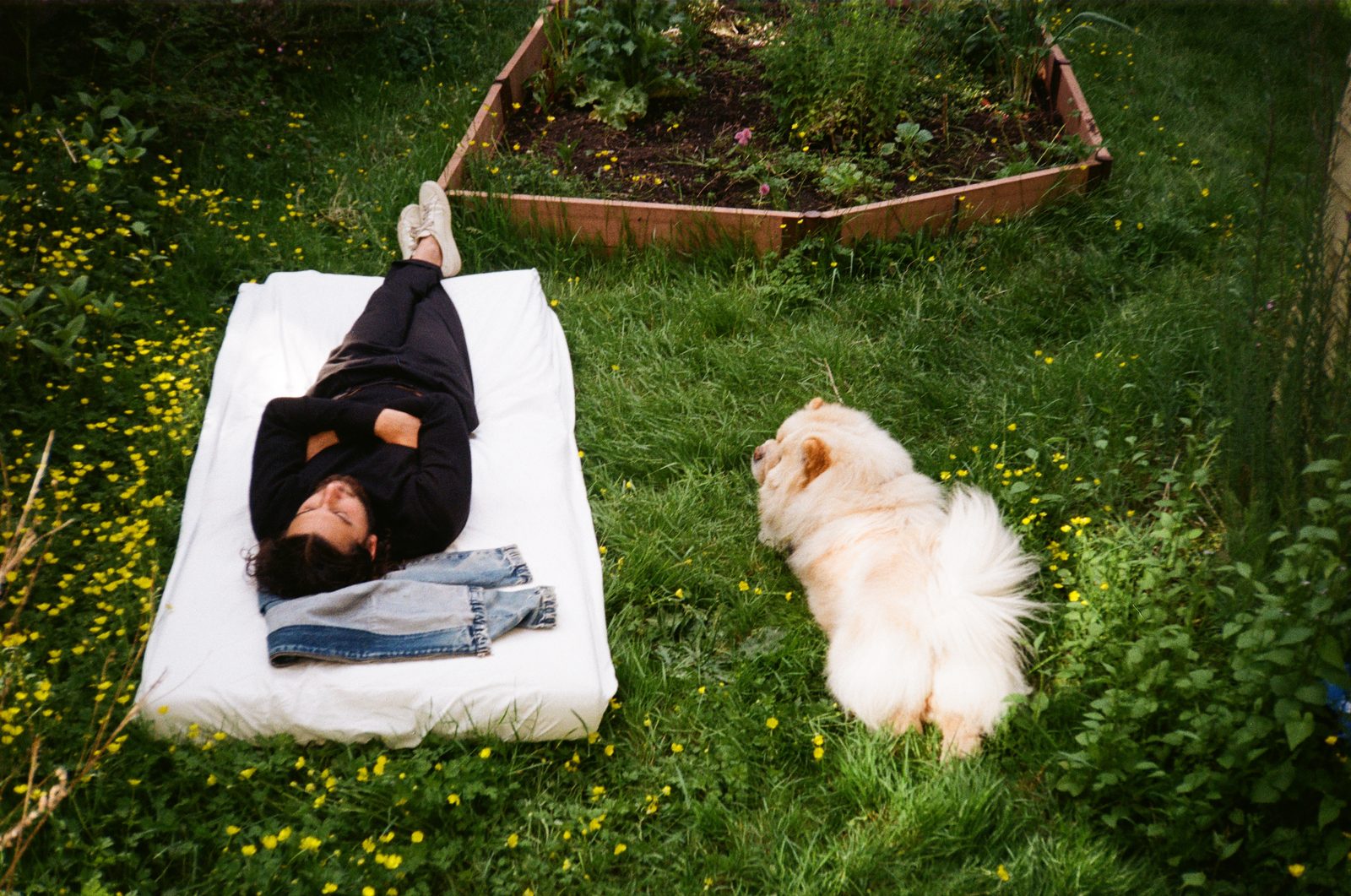 Figure with chow chow in garden