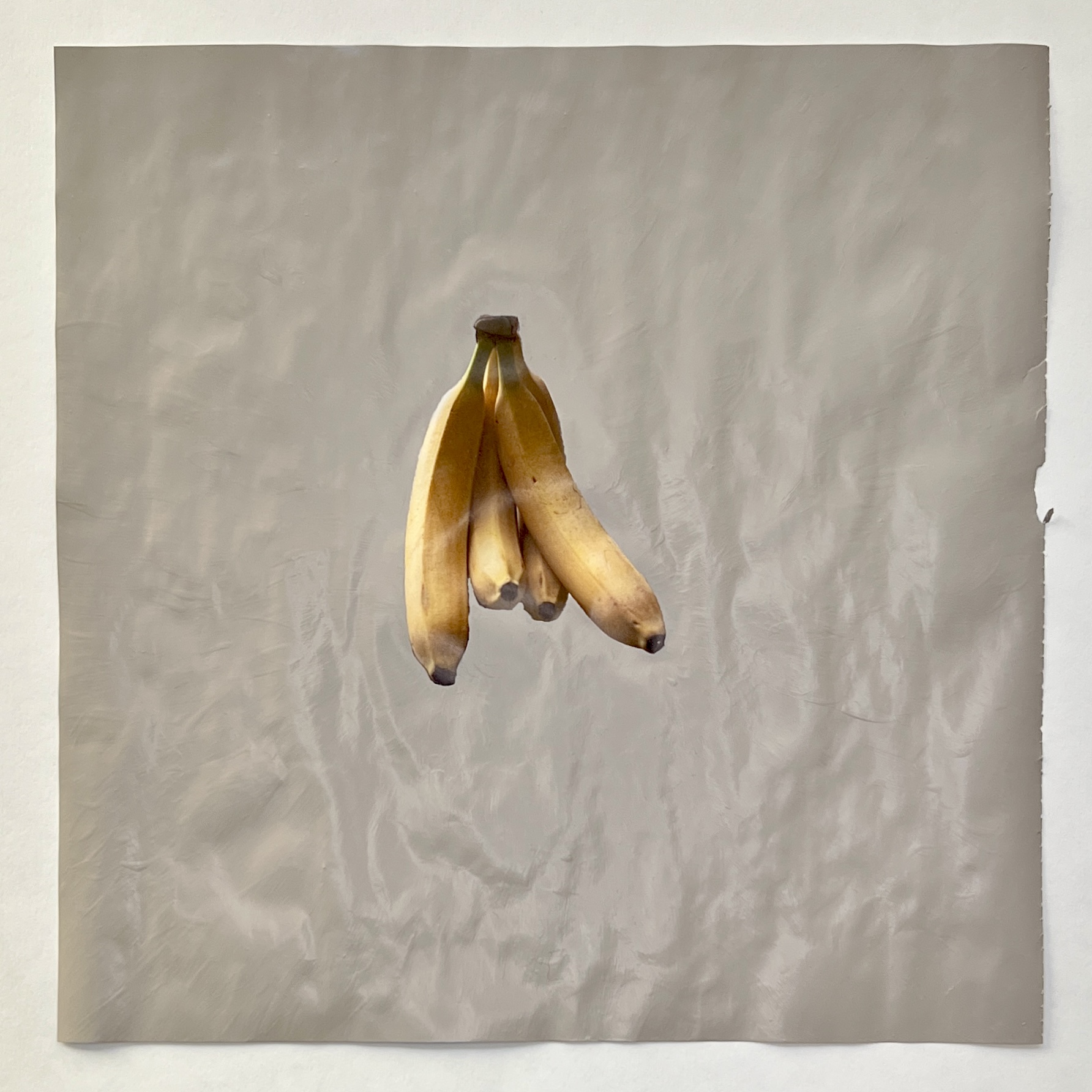 Bananas