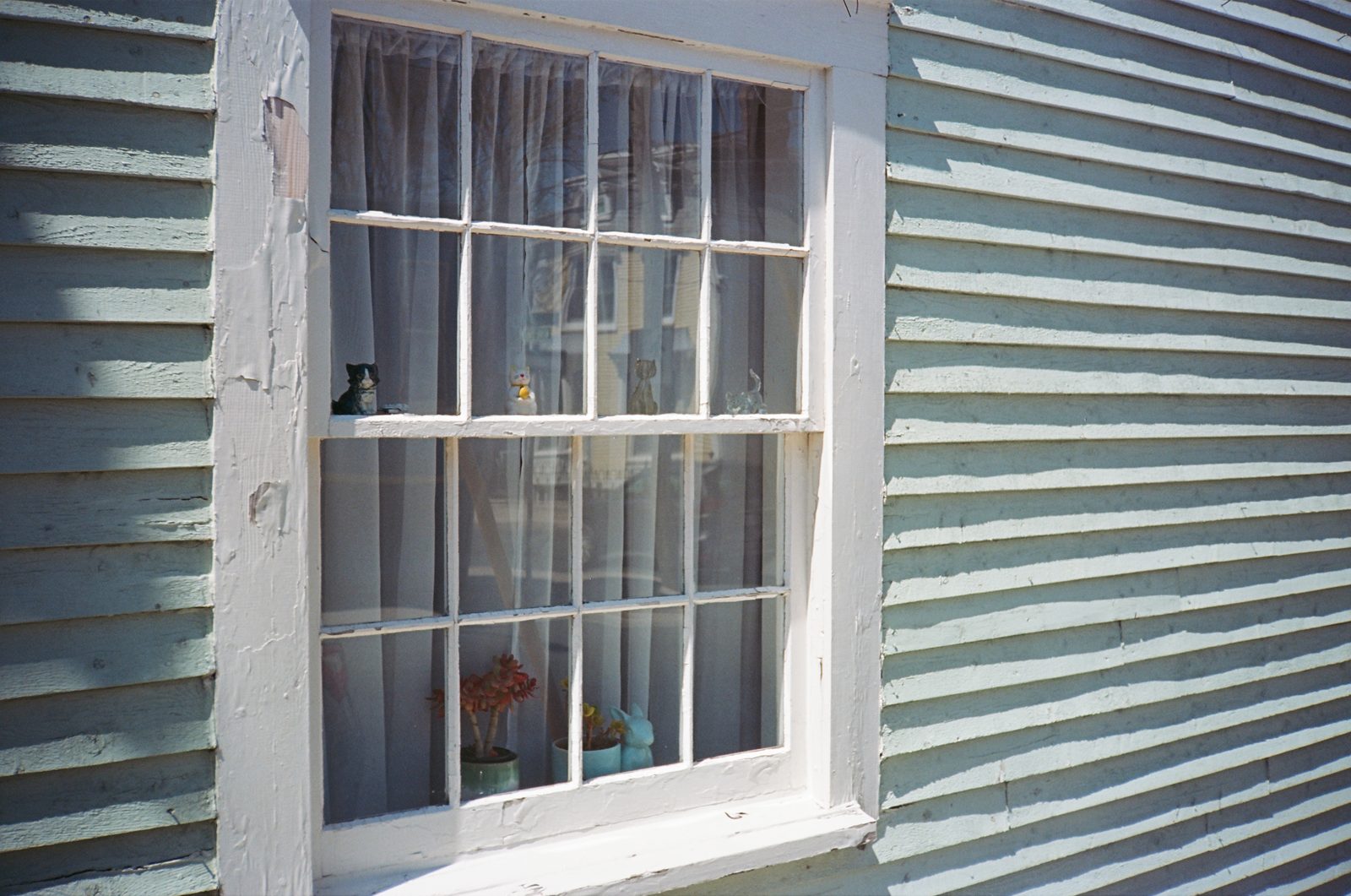 Window with cat figurines